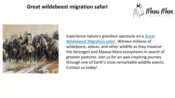 great wildebeest migration safari