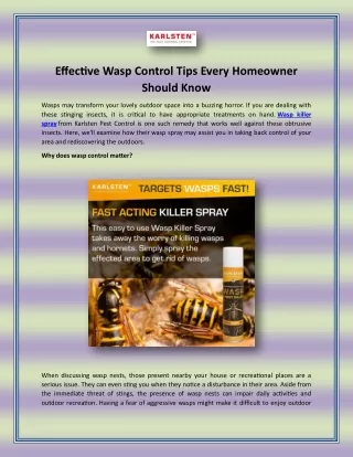 Effective Wasp Control Tips Every Homeowner Should Know