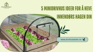 5 Minidrivhus Ideer for Å Heve  Innendørs Hagen Din