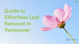 Guide to Effortless Leaf Removal in Vancouver