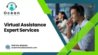 Virtual Assistance Expert Services