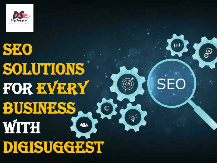 seo solutions for every business with digisuggest