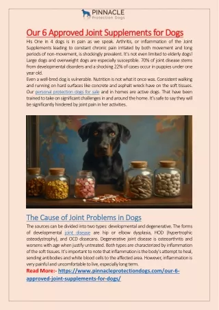 Our 6 Approved Joint Supplements For Dogs