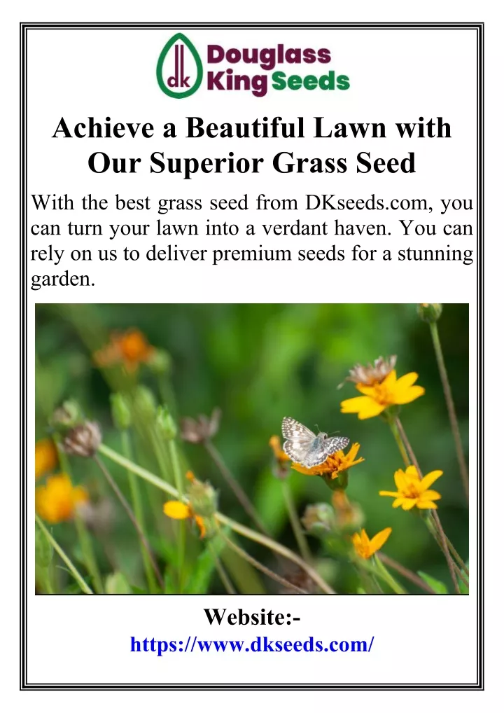 achieve a beautiful lawn with our superior grass