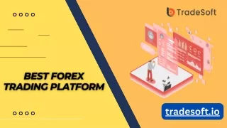 Best Forex Trading Platform in 20214
