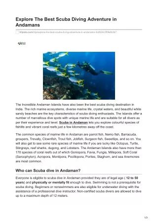 explore the best scuba diving adventure