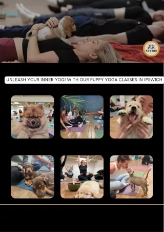 Unleash Your Inner Yogi with Our Puppy Yoga Classes in Ipswich