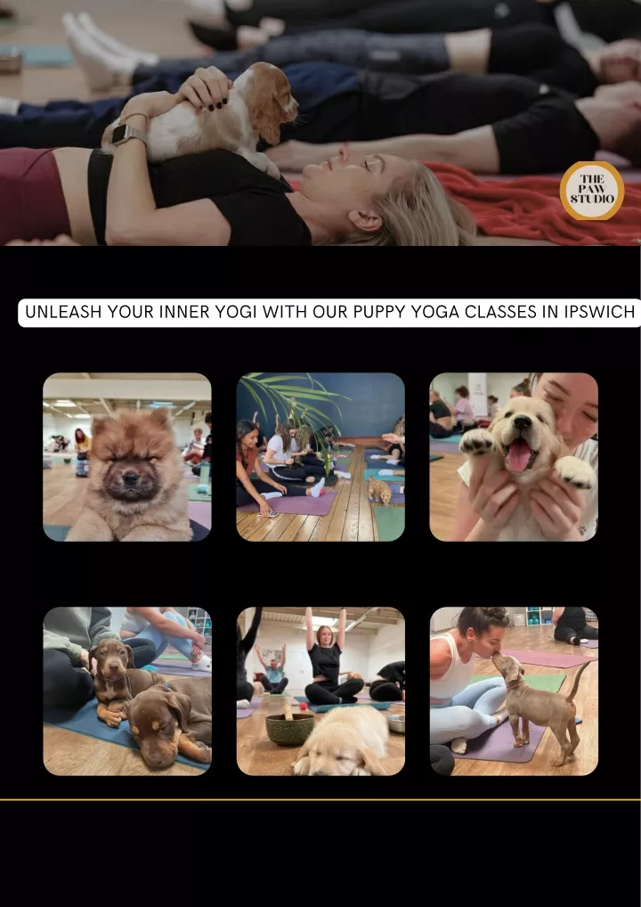 unleash your inner yogi with our puppy yoga