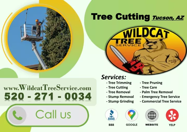 tree cuttin g tucson az