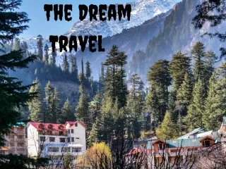 the dream travel