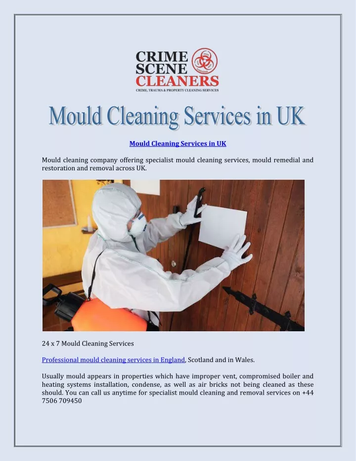 mould cleaning services in uk