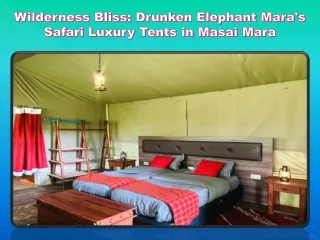 Wilderness Bliss Drunken Elephant Mara's Safari Luxury Tents in Masai Mara