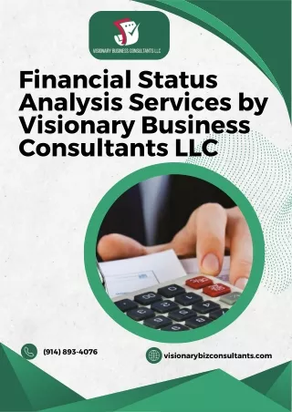 Financial Status Analysis Services by Visionary Business Consultants LLC