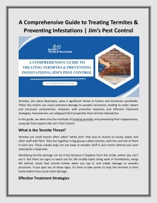 A Comprehensive Guide to Treating Termites & Preventing Infestations  Jim’s Pest Control
