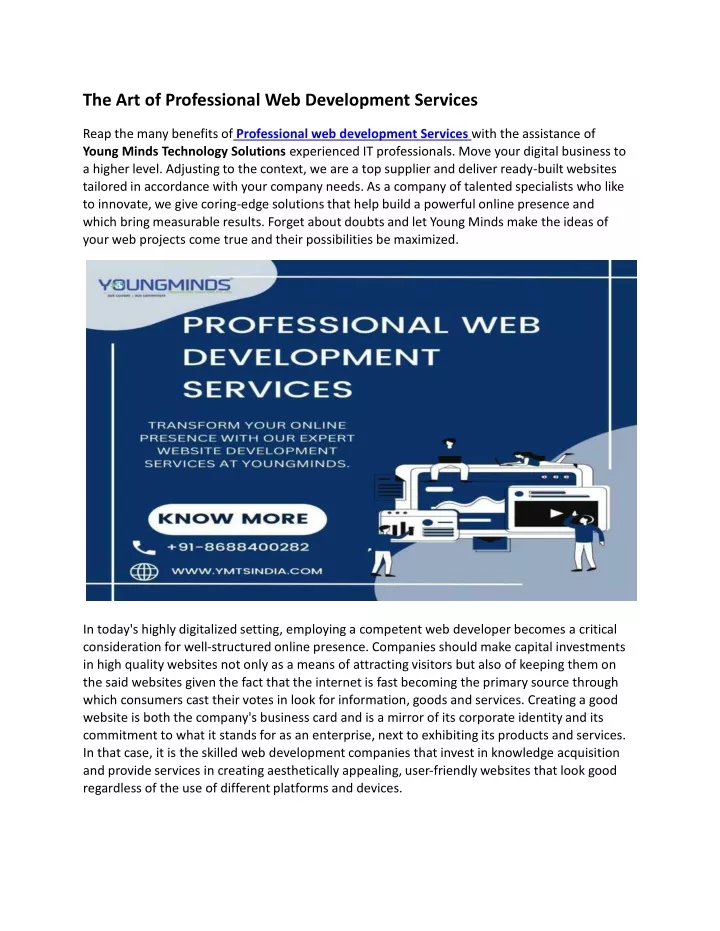 the art of professional web development services