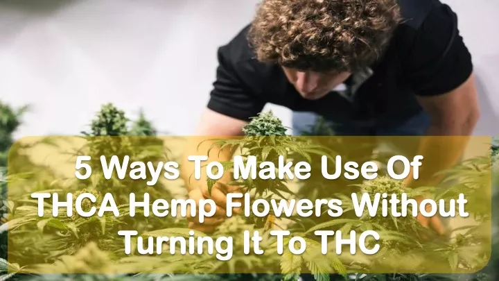 5 ways to make use of thca hemp flowers without