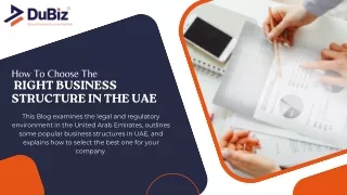 How To Choose The Right Business Structure In The UAE