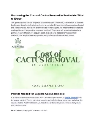 Uncovering the Costs of Cactus Removal in Scottsdale_ What to Expect