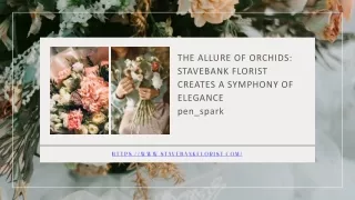 Buy Orchids Flowers Online  Stavebank Florist