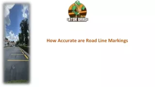 How Accurate are Road Line Markings