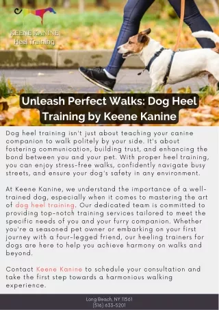 Unleash Perfect Walks: Dog Heel Training by Keene Kanine