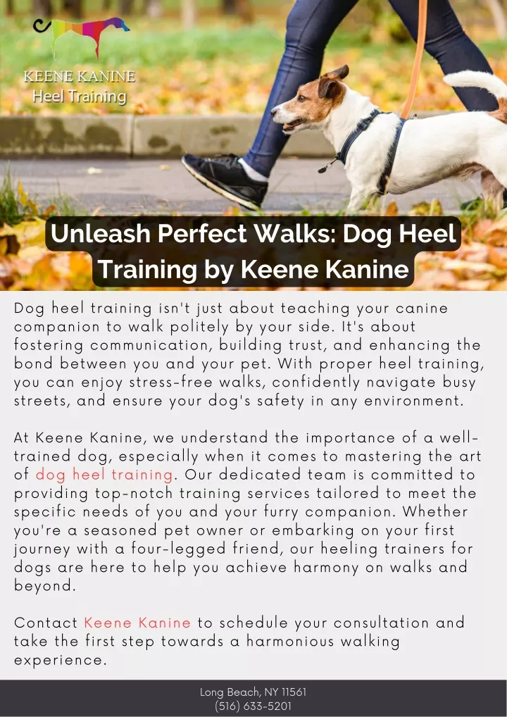 unleash perfect walks dog heel training by keene