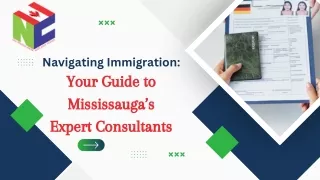 Immigration Consultant In Mississauga