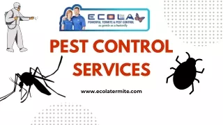 pest control services