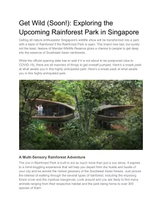Get Wild (Soon!)_ Exploring the Upcoming Rainforest Park in Singapore
