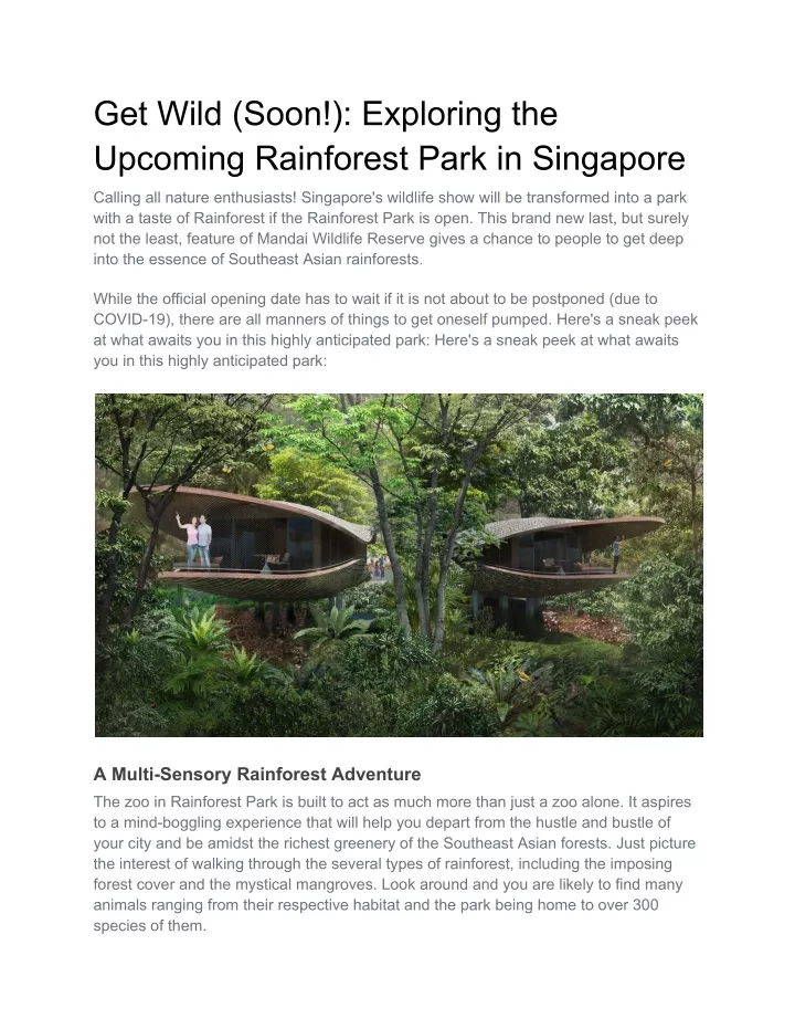 get wild soon exploring the upcoming rainforest