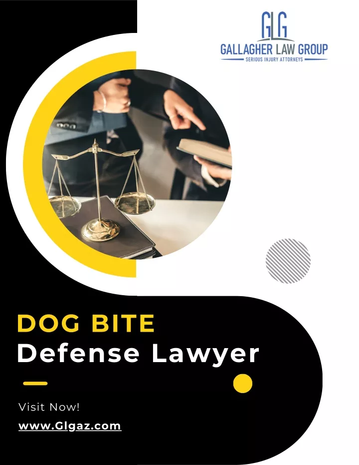 dog bite defense lawyer