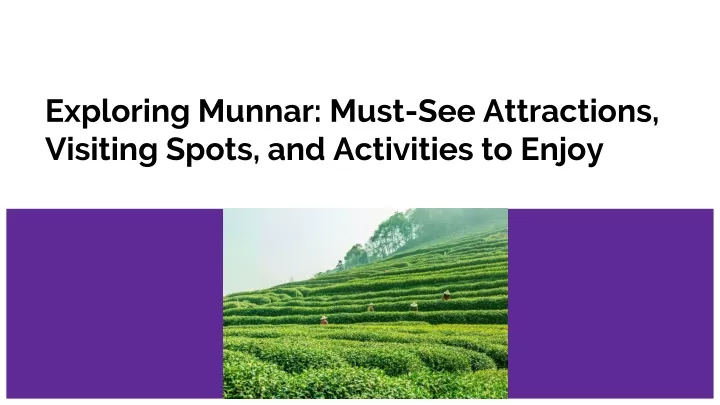 exploring munnar must see attractions visiting spots and activities to enjoy