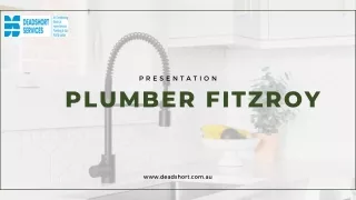 Plumber Fitzroy