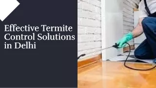 wepik-effective-termite-control-solutions-in-delhi-20240408100215NxOa