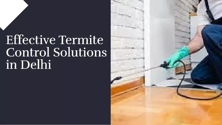 effective termite control solutions in delhi