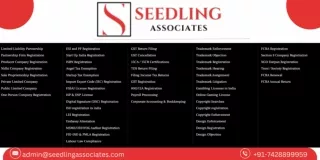 Seedling associates Pdf