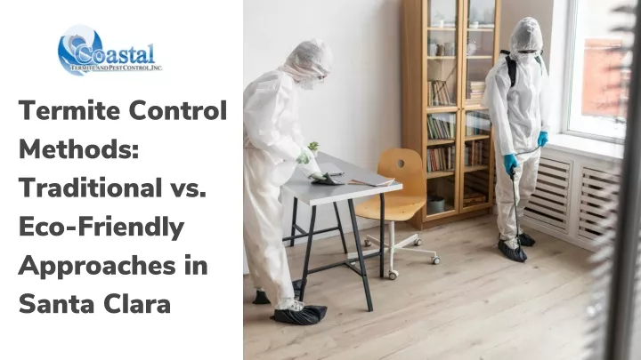 termite control methods traditional