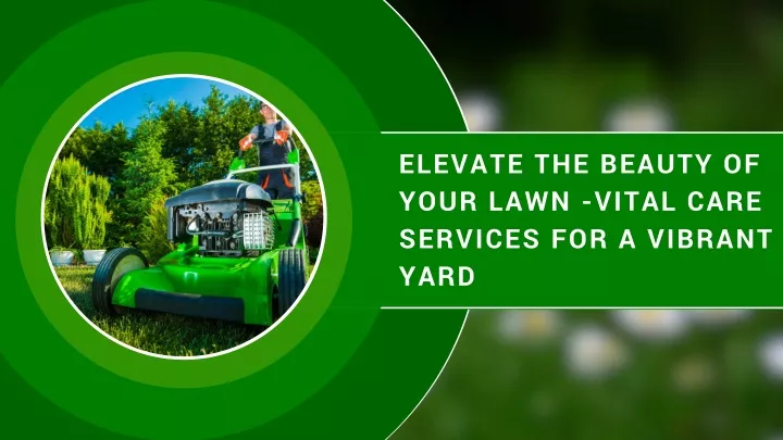 elevate the beauty of your lawn vital care