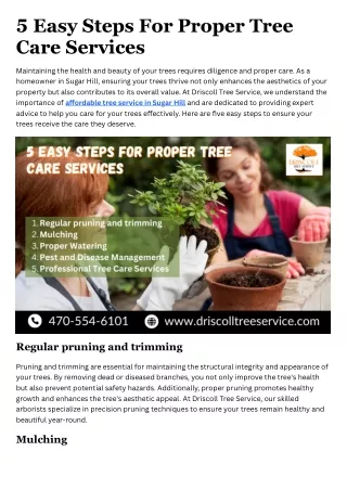 5 Easy Steps For Proper Tree Care Services