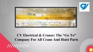 CY Electrical & Cranes The “Go To” Company For All Crane And Hoist Parts