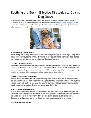 Soothing the Storm_ Effective Strategies to Calm a Dog Down