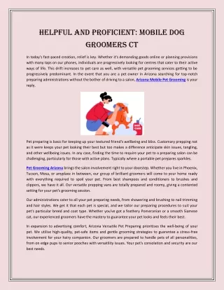 Helpful and Proficient Mobile Dog Groomers Ct
