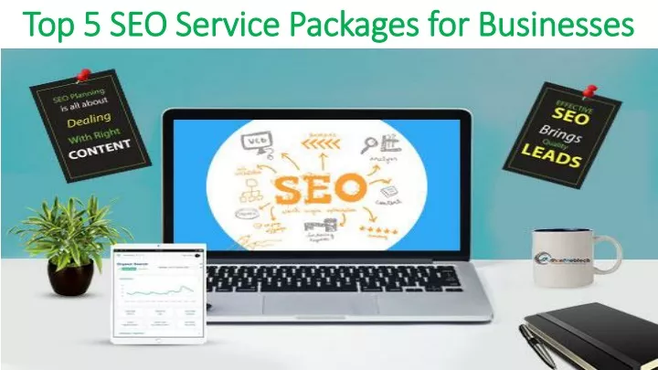 top 5 seo service packages for businesses