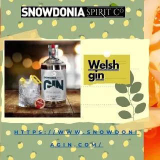 "Spirit of Snowdonia: Unveiling the Elegance of Welsh Gin"