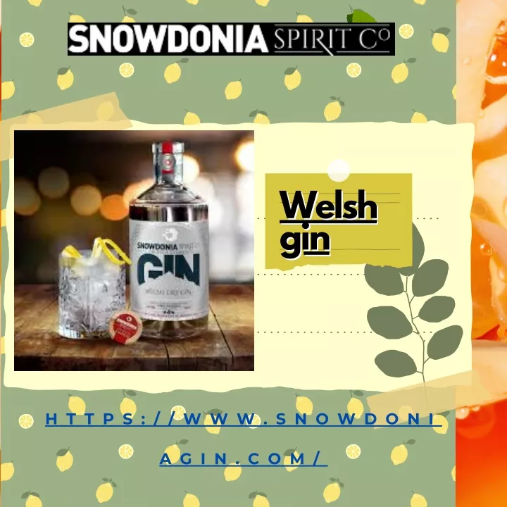 welsh welsh gin gin