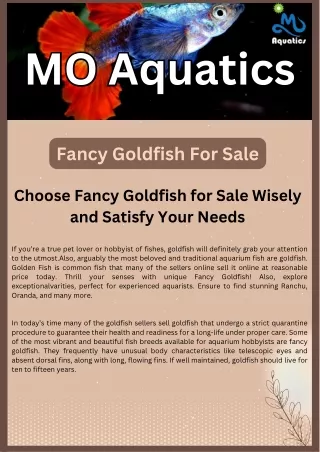 Choose Fancy Goldfish for Sale Wisely and Satisfy Your Needs