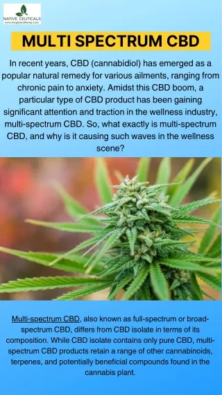 Long Island Hemp Unveiling the Power of Multi-Spectrum CBD