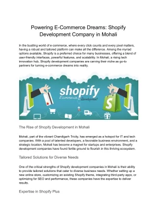 Get Your Access With Shopify Development Company in Mohali