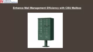Secure Your Mail Delivery with CBU Mailbox Solutions