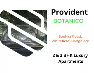 provident